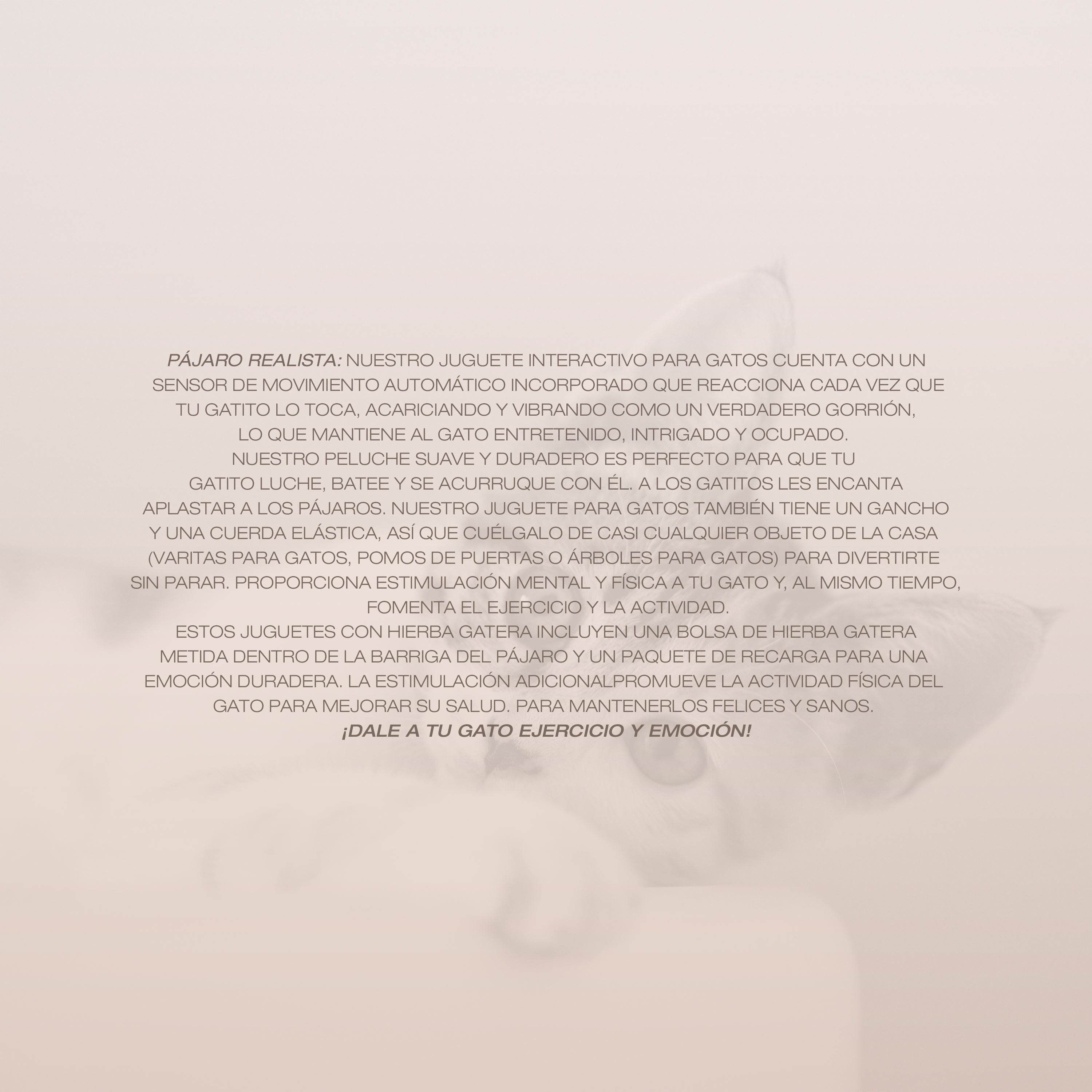 Pajaro Interactivo para Gatos